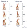 NAKLEJKI ROZMIARY KROLIKI S i M
