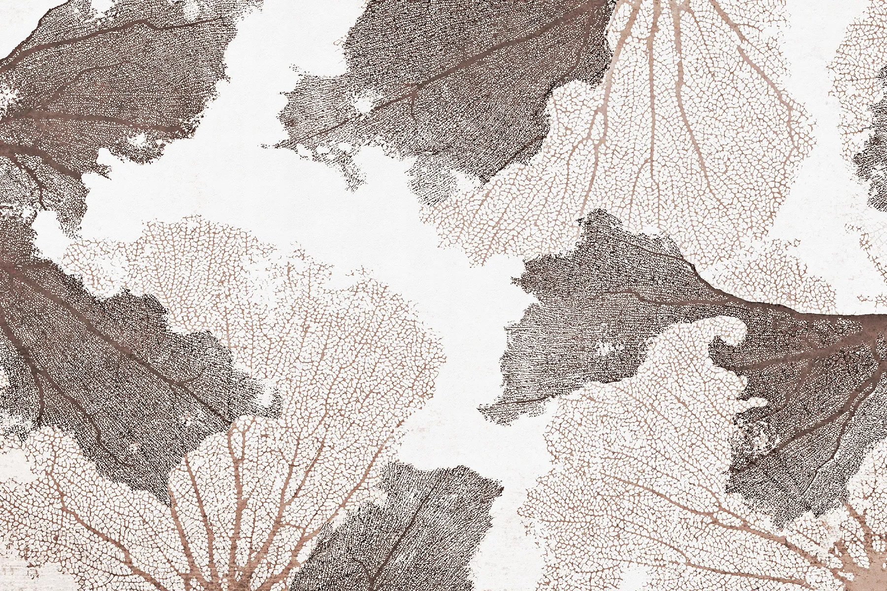 Tapete Korallenriff - Reefy 1 Maritime Fototapete mit Korallenriff beige