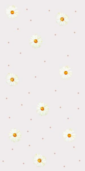 Tapete mit zarten Gänseblümchen auf rosafarbenem Hintergrund - auf der Rolle