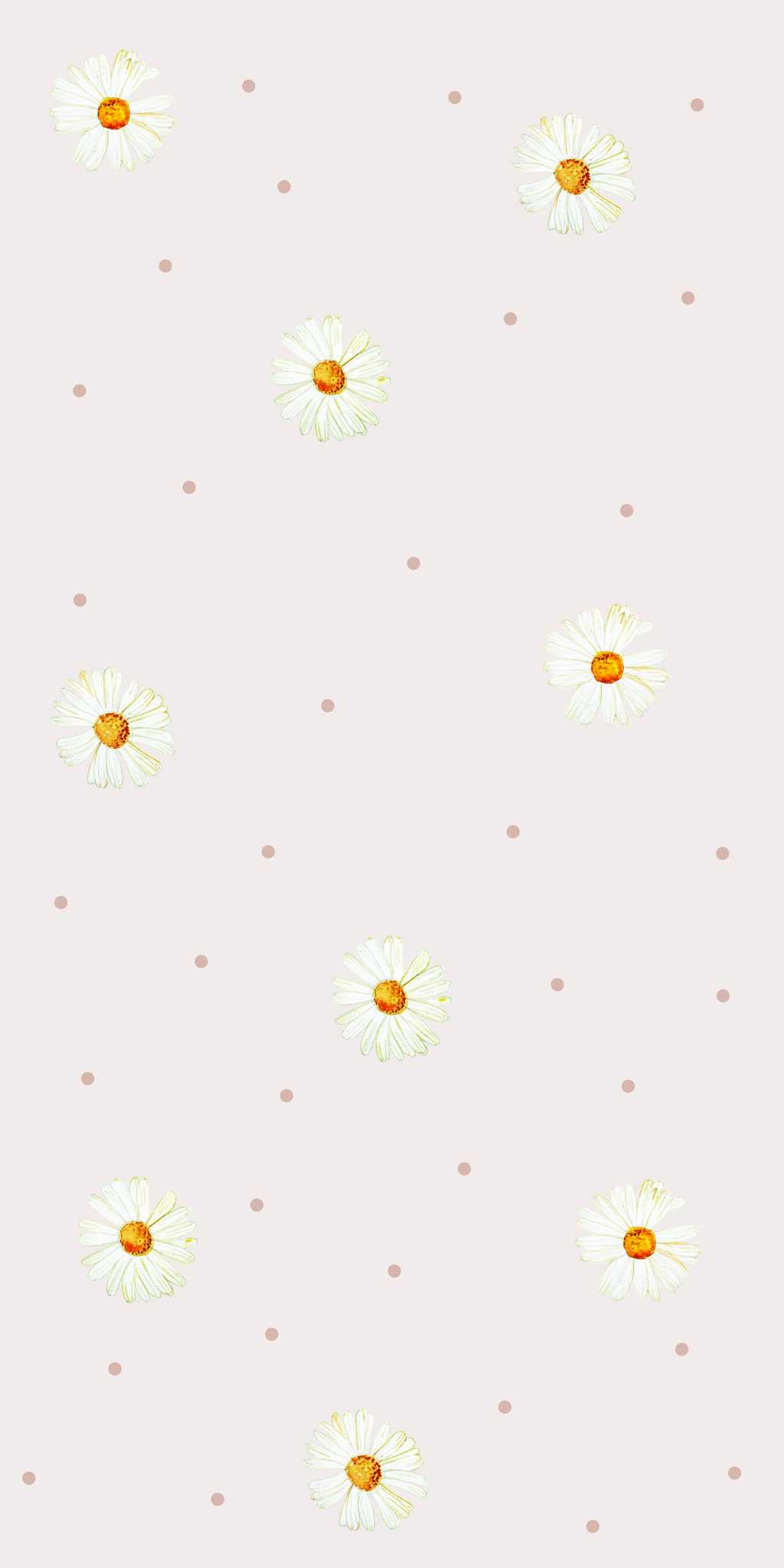 Tapete mit zarten Gänseblümchen auf rosa Hintergrund - auf Rolle 1 Tapete mit zarten Gänseblümchen auf rosafarbenem Hintergrund - auf der Rolle