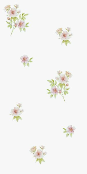 Romantische Tapete mit Teerosen - auf Rolle