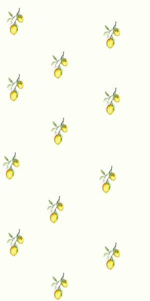 Zitronentapete - auf Rolle