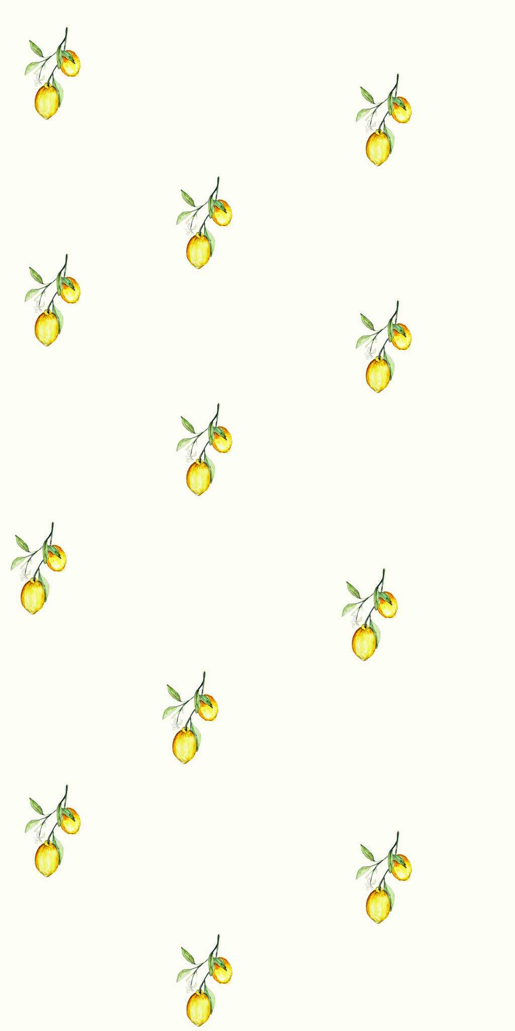 Zitronentapete - auf der Rolle 1 Zitronentapete - auf Rolle