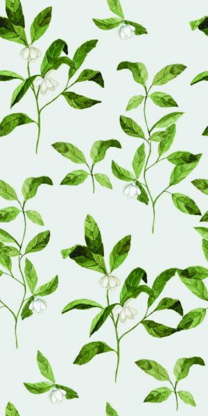 Blumentapete Magnolien klein - auf der Rolle