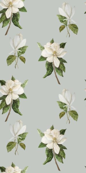 Fototapete große Magnolienblüten - auf der Rolle