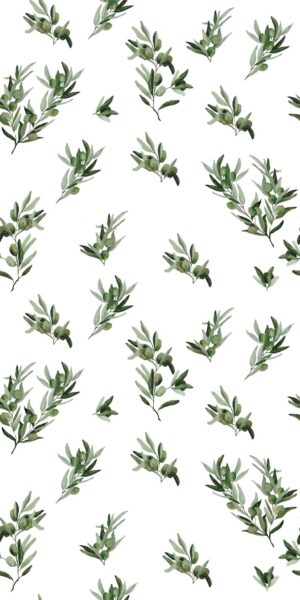 Küchentapete weiße Oliven - auf Rolle