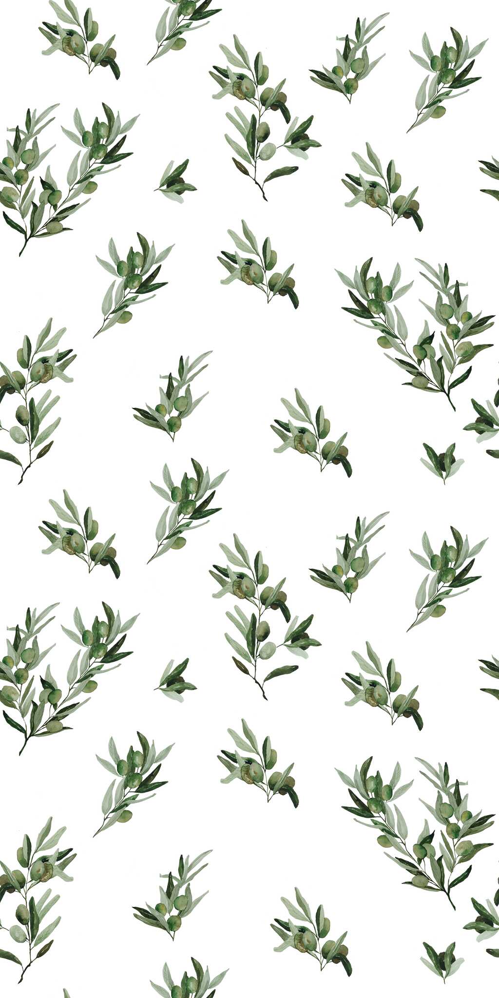 Küchentapete Oliven weiß - auf Rolle 1 Küchentapete weiße Oliven - auf Rolle