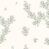 Tapete Immergrünblätter – Zartes botanisches Muster für die Wand
